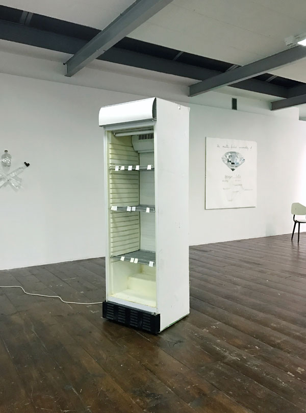 degruyter2017refrigerator.fromLithuaniaB600
